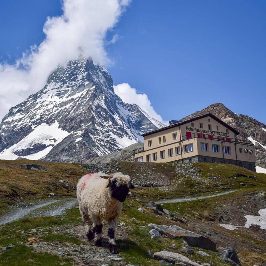Hotel Schwarzsee Zermatt Dış mekan fotoğraf